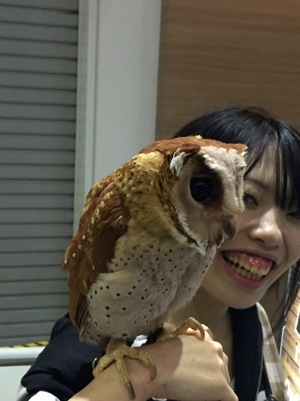 f:id:grappatei:20171015163641j:plain f:id:grappatei:20171015163641j:plain