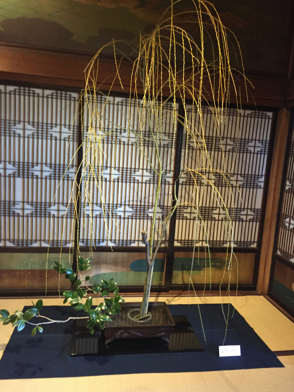 f:id:grappatei:20171125210732j:plain f:id:grappatei:20171125210732j:plain