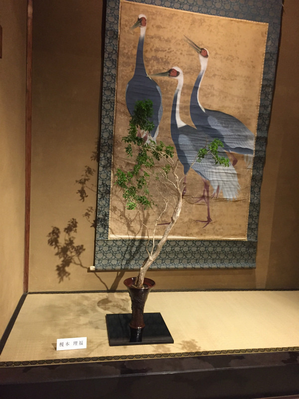 f:id:grappatei:20171125210744j:plain f:id:grappatei:20171125210744j:plain