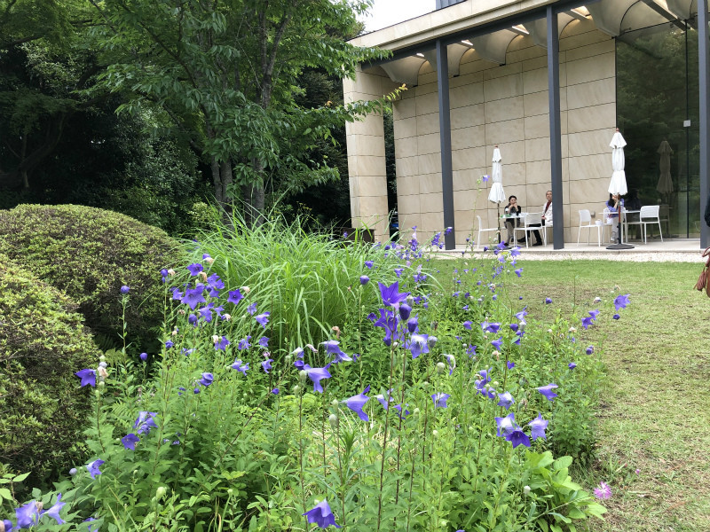 f:id:grappatei:20190707083203j:plain f:id:grappatei:20190707083203j:plain