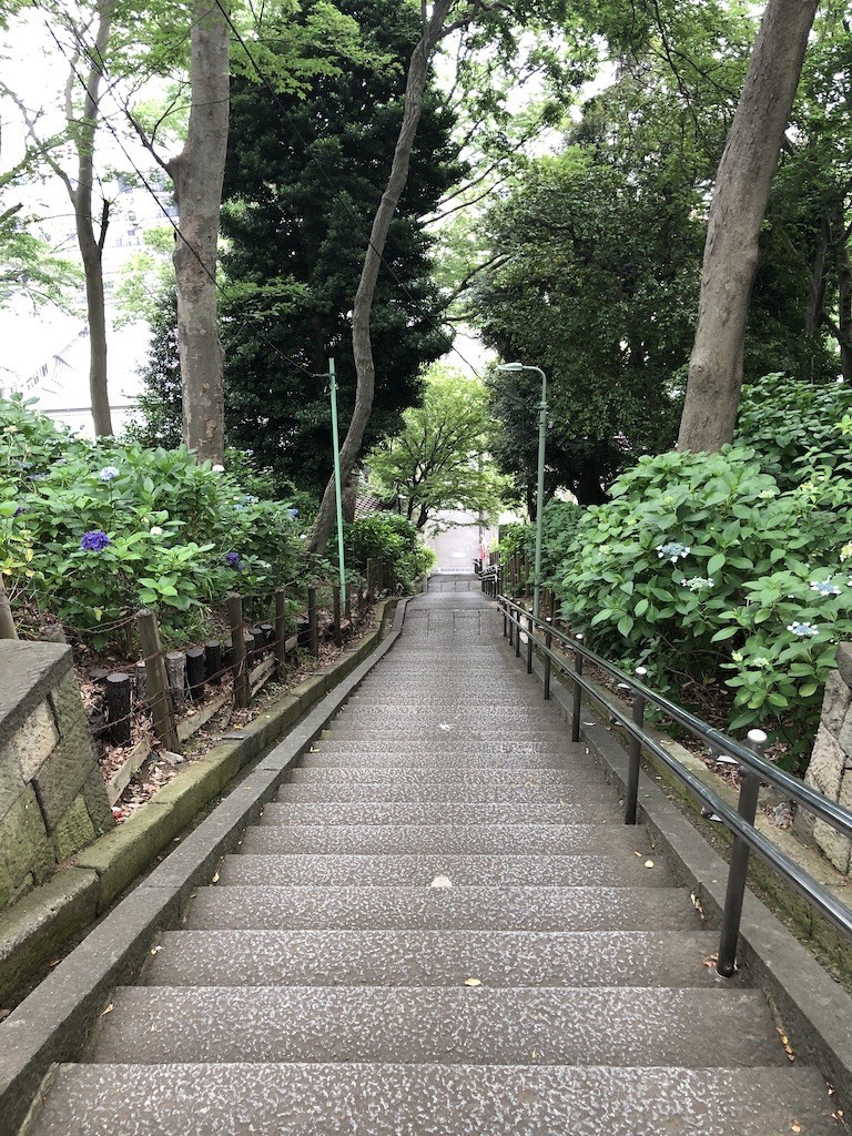 f:id:grappatei:20200606160502j:plain f:id:grappatei:20200606160502j:plain