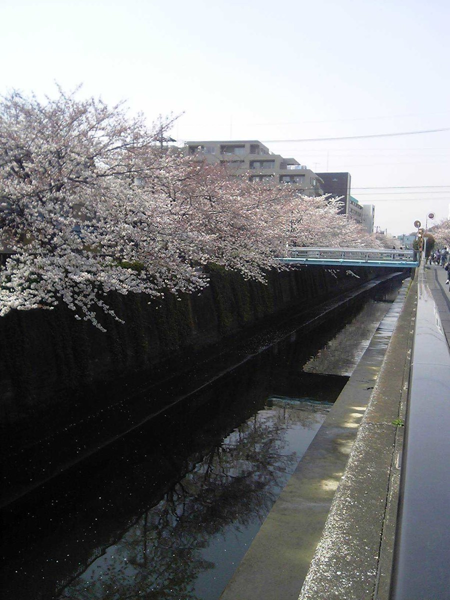 f:id:grappatei:20200628110147j:plain f:id:grappatei:20200628110147j:plain