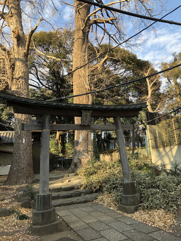 f:id:grappatei:20210122151845j:plain