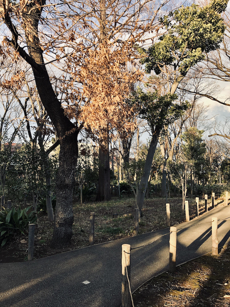 f:id:grappatei:20210217164640j:plain