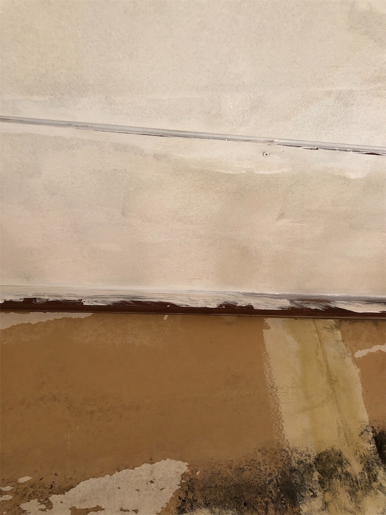 f:id:grappling2525:20220123220500j:image