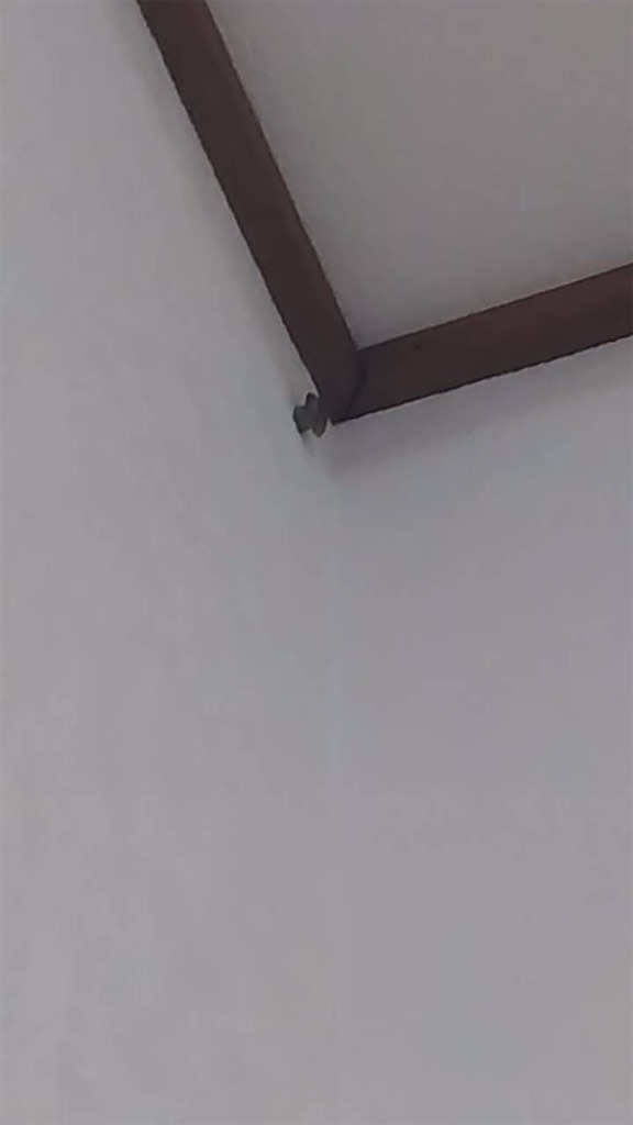 f:id:grappling2525:20251209192821j:image f:id:grappling2525:20251209192821j:image