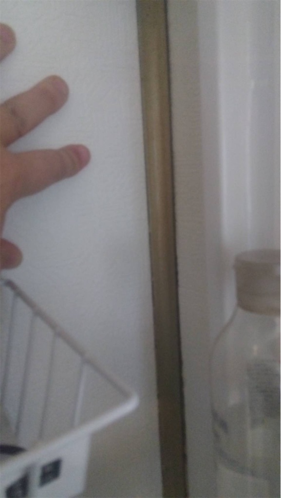 f:id:grappling2525:20251209192839j:image f:id:grappling2525:20251209192839j:image