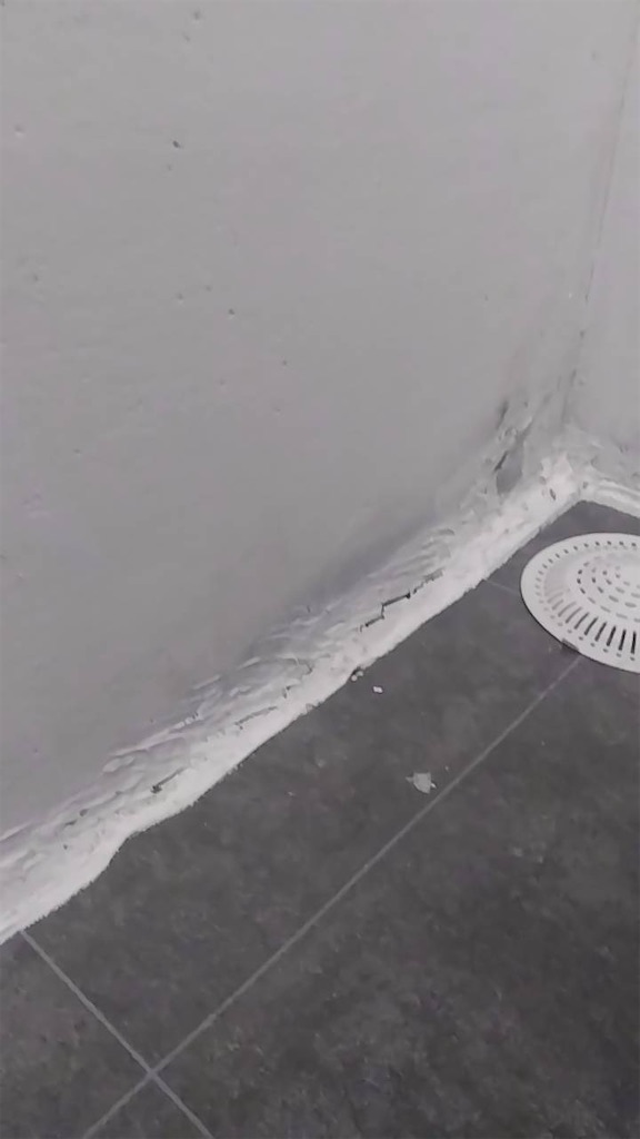 f:id:grappling2525:20251209192845j:image f:id:grappling2525:20251209192845j:image