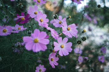 f:id:grass15:20210110035733j:plain