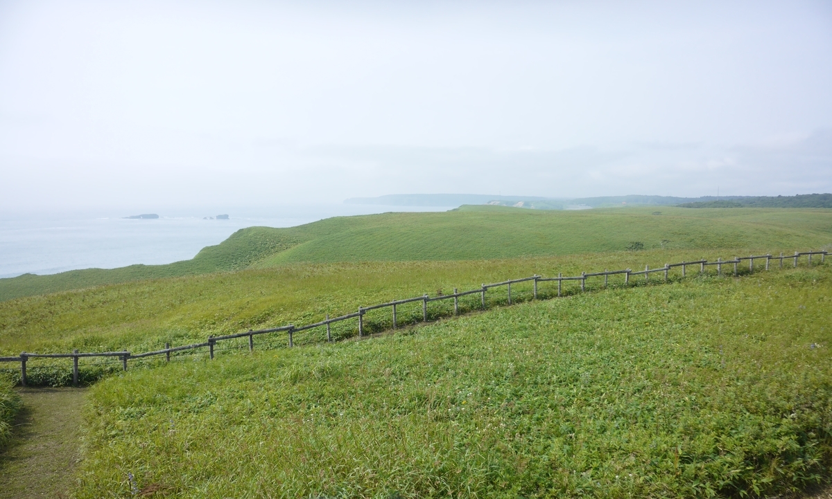 f:id:grassbigboy:20190821234014j:plain