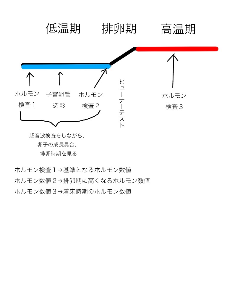 f:id:grasshopper0408:20170425204853j:image