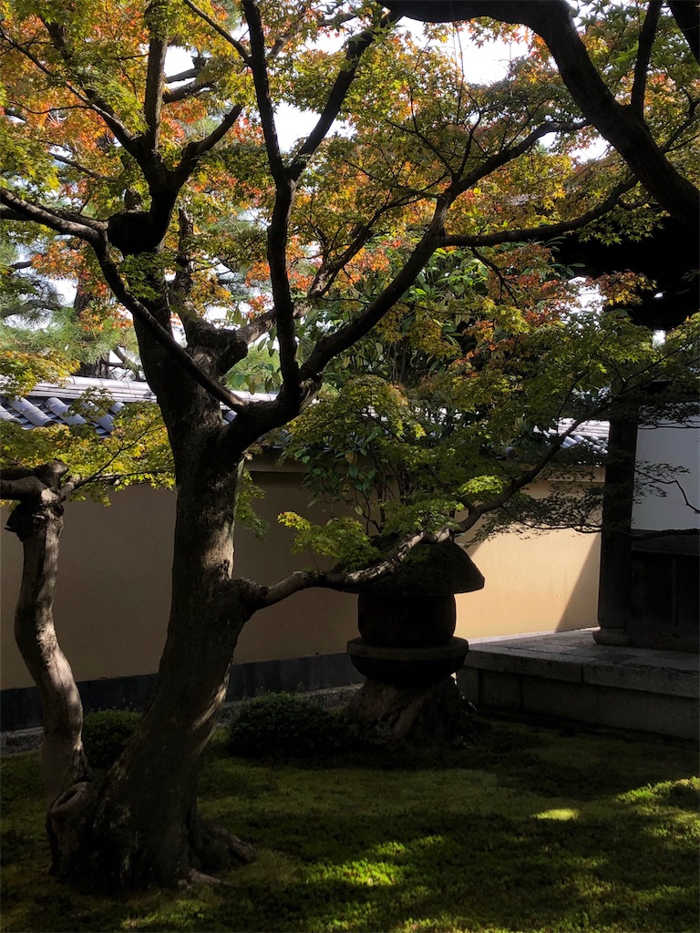 f:id:gravitation0911:20211208093440j:image