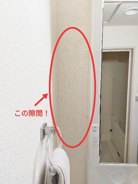 f:id:gray-zone-family:20201123123722j:image