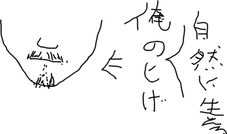 f:id:graycat:20080220225740p:image