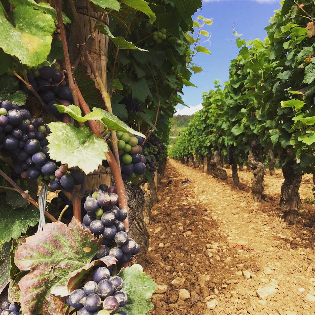 f:id:great_journey:20171022214717j:image