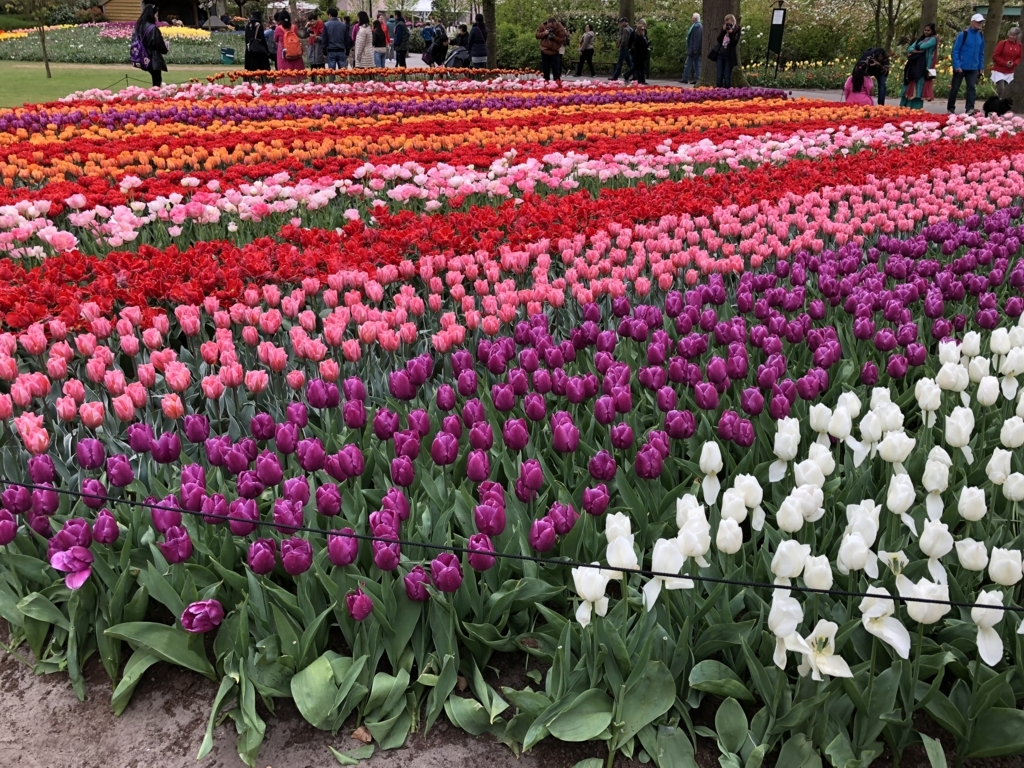 f:id:great_journey:20180501060354j:plain