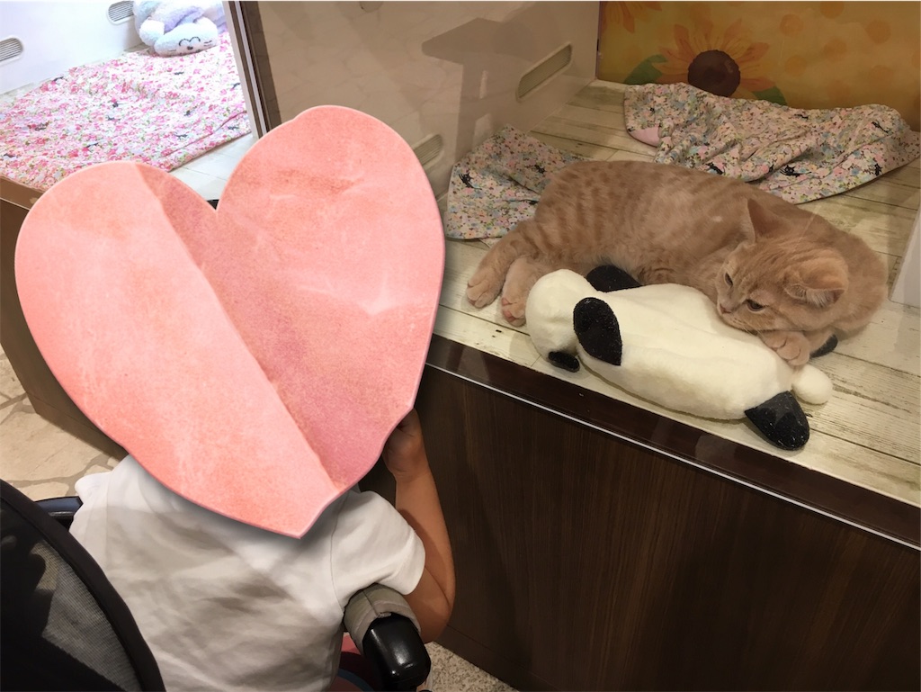 f:id:great_journey:20190908181805j:image