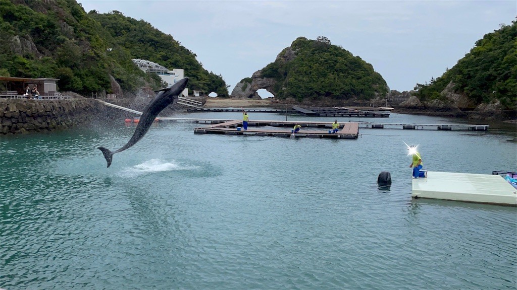 和歌山旅行】日本で唯一？クジラに餌あげできる水族館へ（クジラ旅