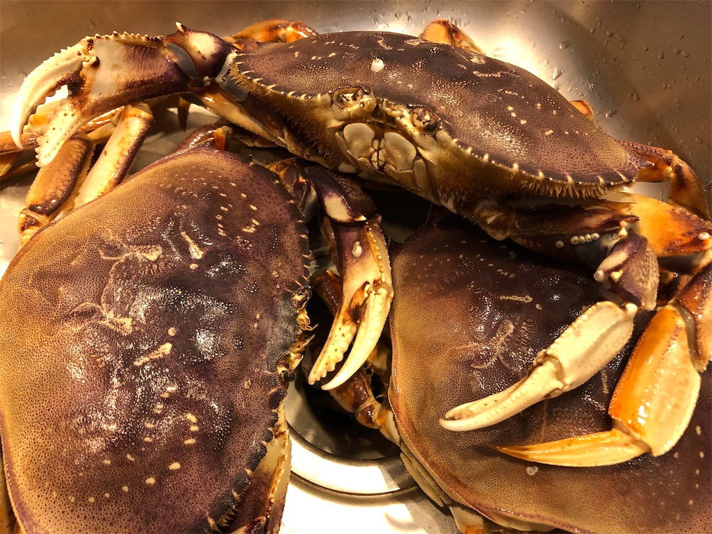 f:id:greatsusie:20191013154510j:image f:id:greatsusie:20191013154510j:image