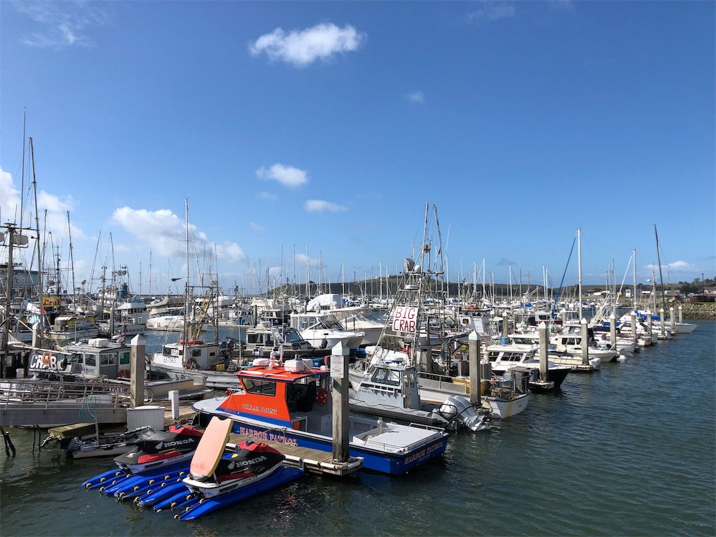 f:id:greatsusie:20191013154527j:image f:id:greatsusie:20191013154527j:image