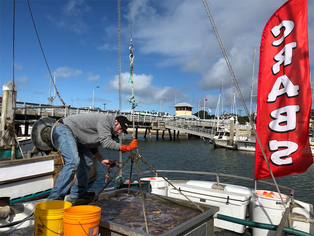 f:id:greatsusie:20191013154542j:image f:id:greatsusie:20191013154542j:image