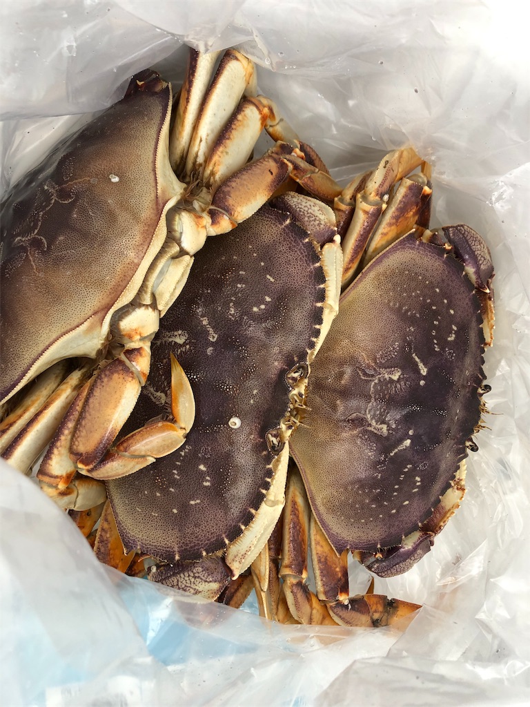 f:id:greatsusie:20191013154550j:image f:id:greatsusie:20191013154550j:image