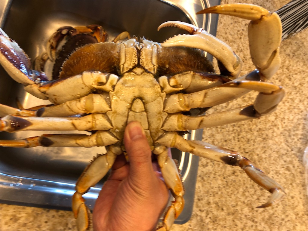 f:id:greatsusie:20191013154600j:image f:id:greatsusie:20191013154600j:image