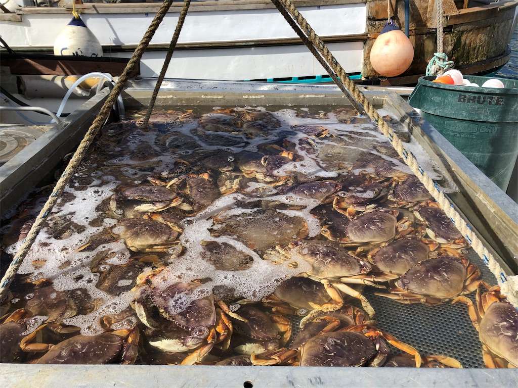 f:id:greatsusie:20191013154610j:image f:id:greatsusie:20191013154610j:image