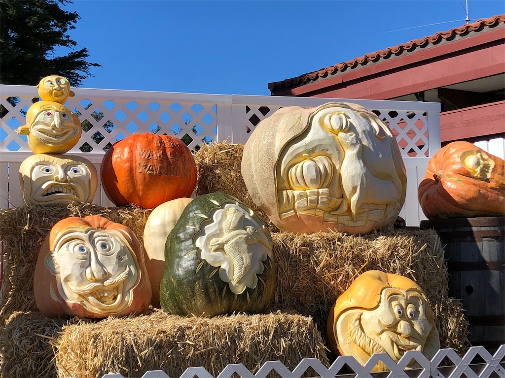 f:id:greatsusie:20191023114539j:image f:id:greatsusie:20191023114539j:image