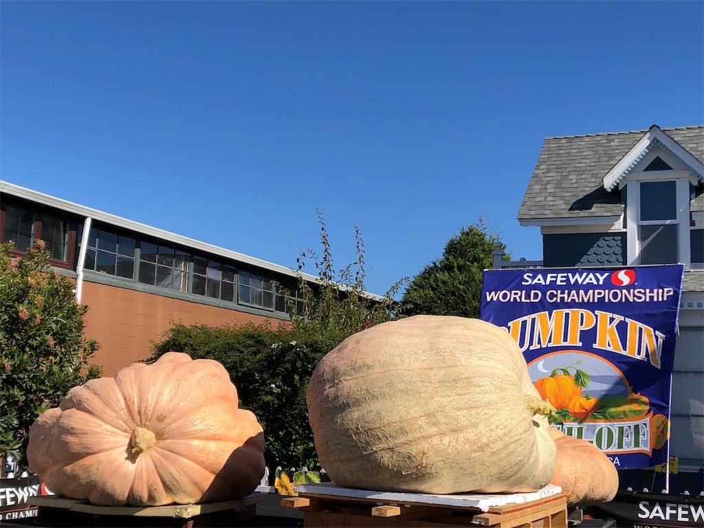 f:id:greatsusie:20191023114555j:image f:id:greatsusie:20191023114555j:image