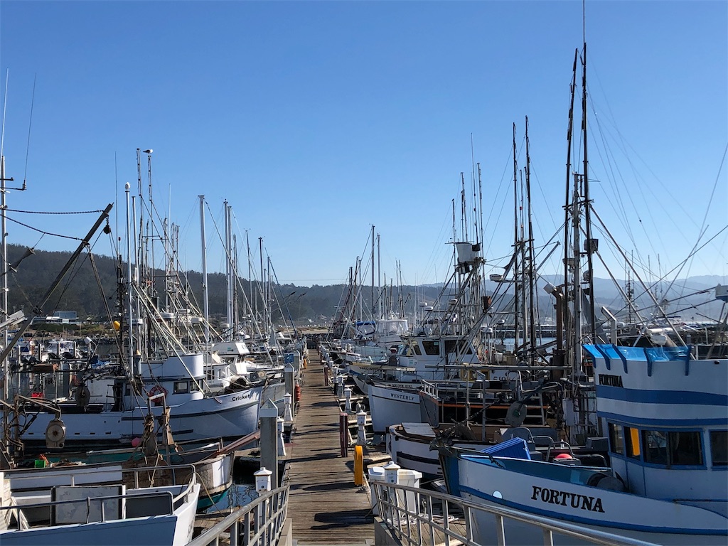 f:id:greatsusie:20191119081914j:image