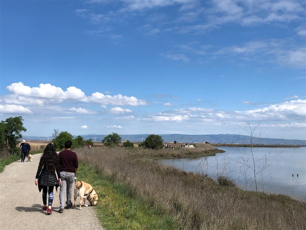 外出禁止令が出て初めての週末トレイル 〜Shoreline Lake Park〜 - な