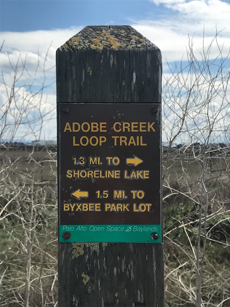 外出禁止令が出て初めての週末トレイル 〜Shoreline Lake Park〜 - な