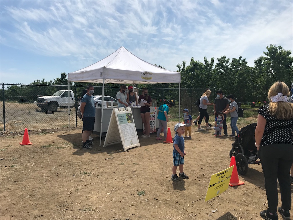 f:id:greatsusie:20200516134909j:image f:id:greatsusie:20200516134909j:image