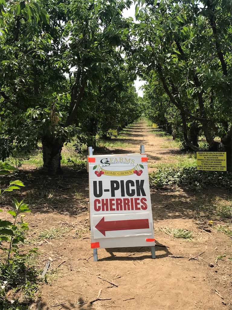 f:id:greatsusie:20200516134919j:image f:id:greatsusie:20200516134919j:image