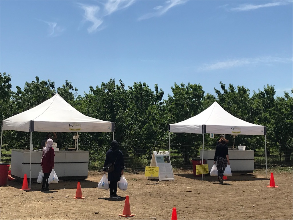 f:id:greatsusie:20200516134930j:image f:id:greatsusie:20200516134930j:image