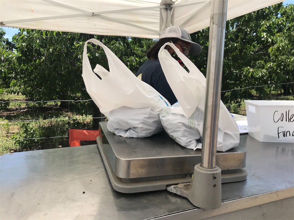 f:id:greatsusie:20200516134948j:image f:id:greatsusie:20200516134948j:image