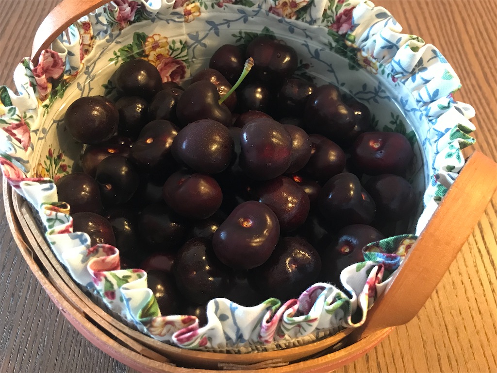 年もさくらんぼ狩り U Pick Cherryに行ってきた In Brentwood Ca ななとなな夫の関西あちこちライフ 年もさくらんぼ狩り U Pick Cherryに行ってきた In Brentwood Ca ななとなな夫の関西あちこちライフ