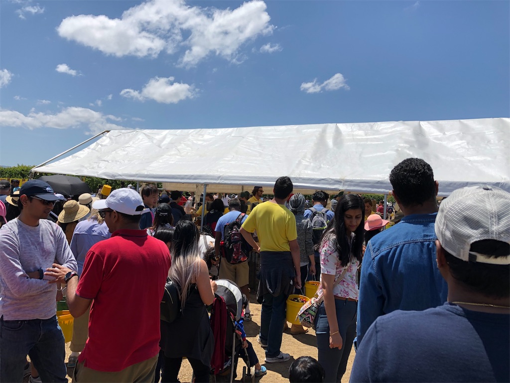 f:id:greatsusie:20200518081136j:image f:id:greatsusie:20200518081136j:image