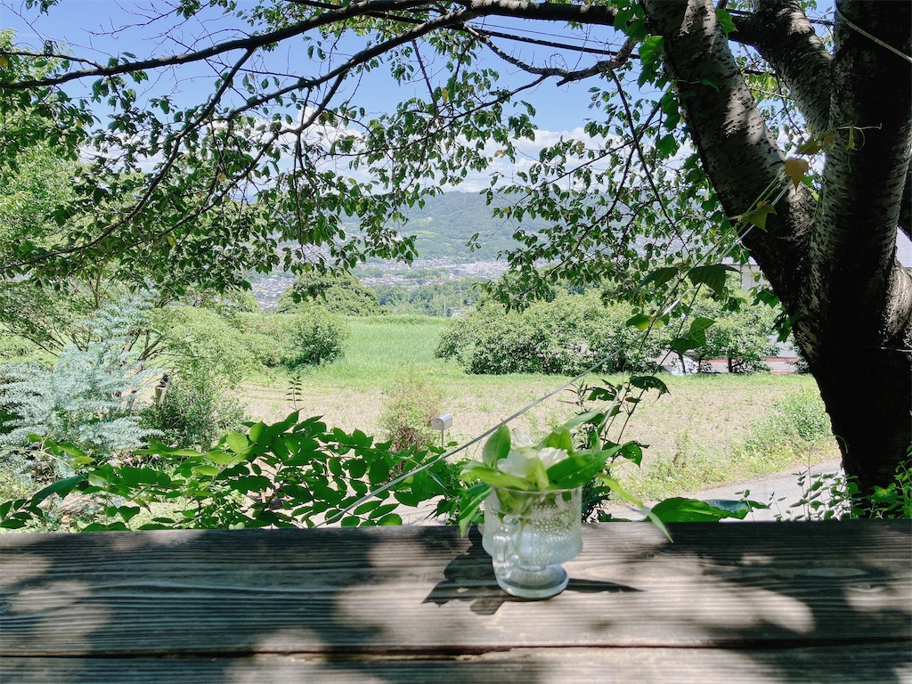 f:id:greatsusie:20230911131100j:image