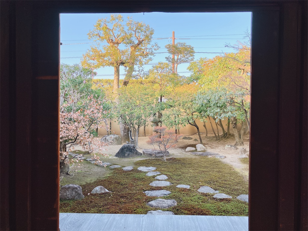 f:id:greatsusie:20231216205127j:image f:id:greatsusie:20231216205127j:image