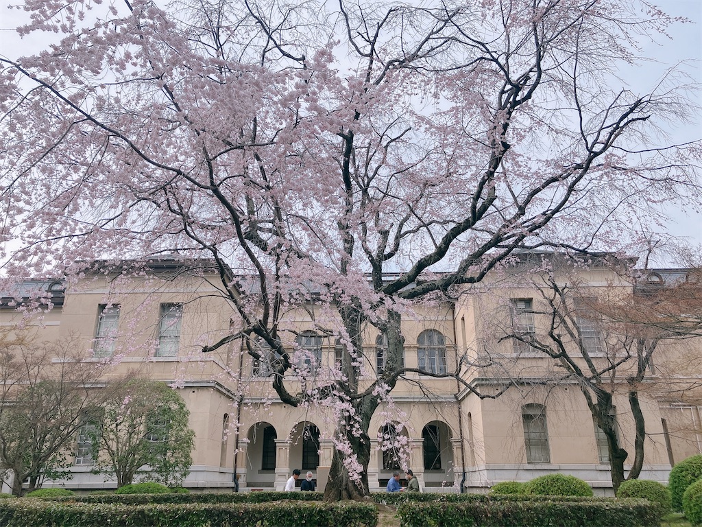 f:id:greatsusie:20240408202332j:image