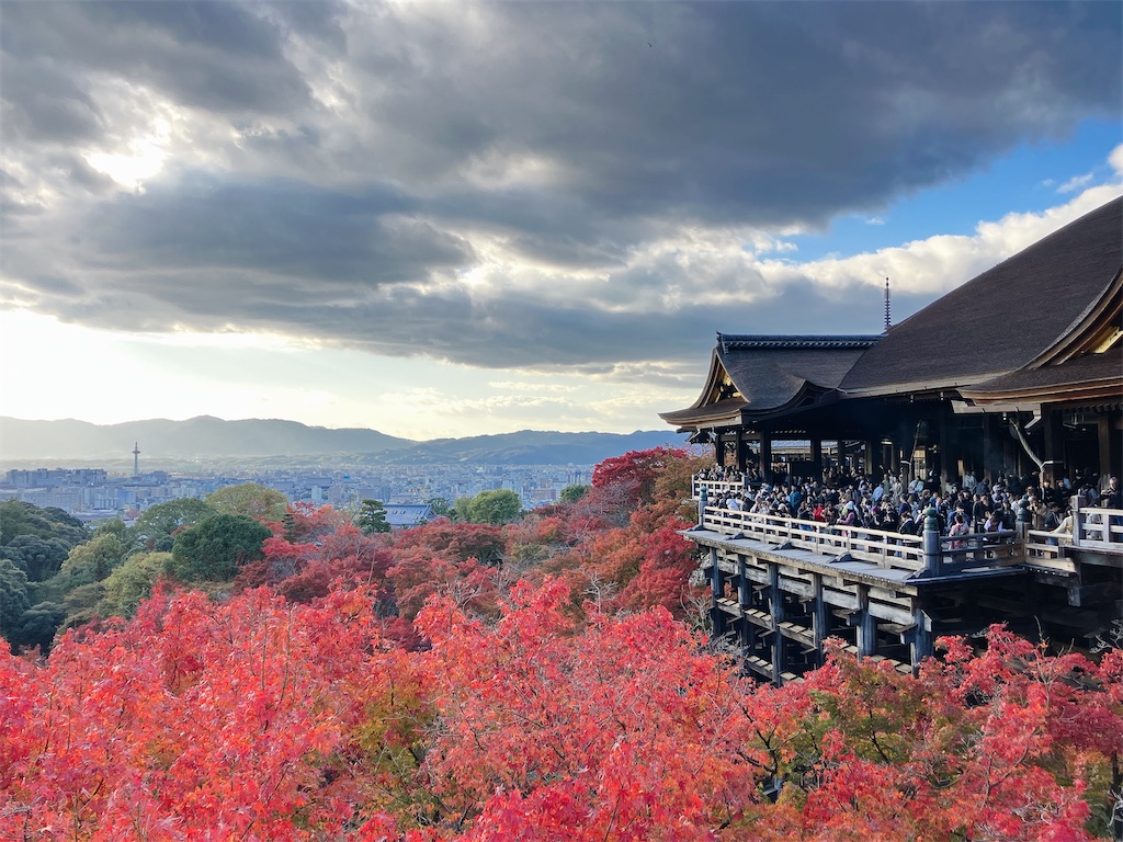 京都観光】2024年京都の紅葉を満喫！
