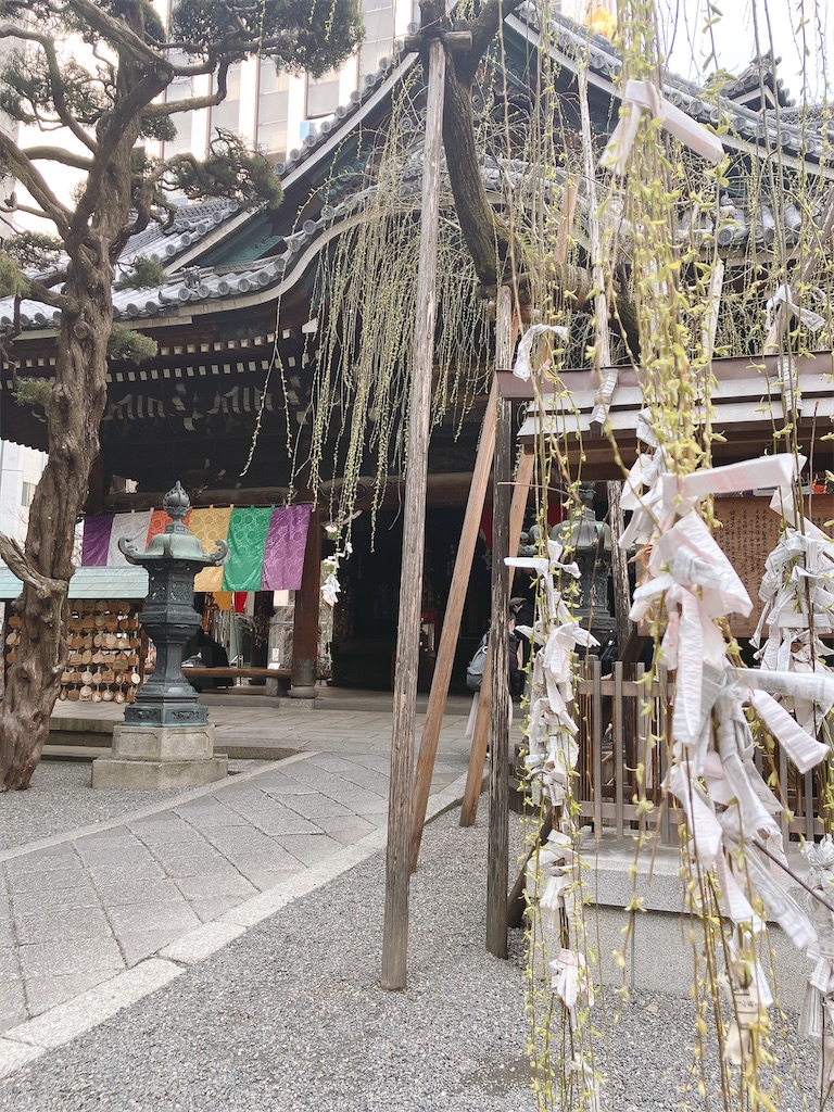 f:id:greatsusie:20250320195058j:image