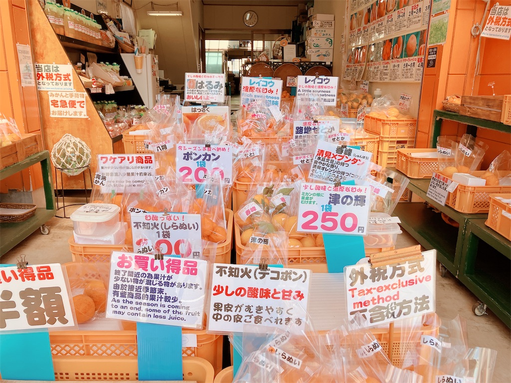 f:id:greatsusie:20250324135935j:image