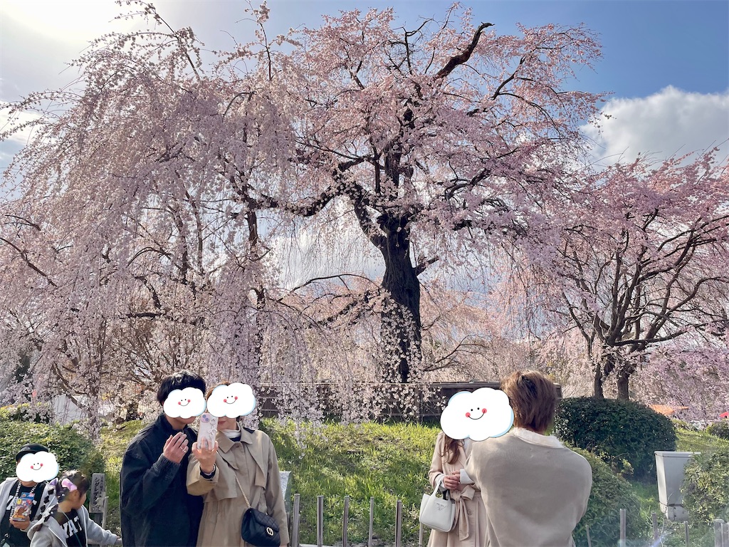 f:id:greatsusie:20250331102416j:image