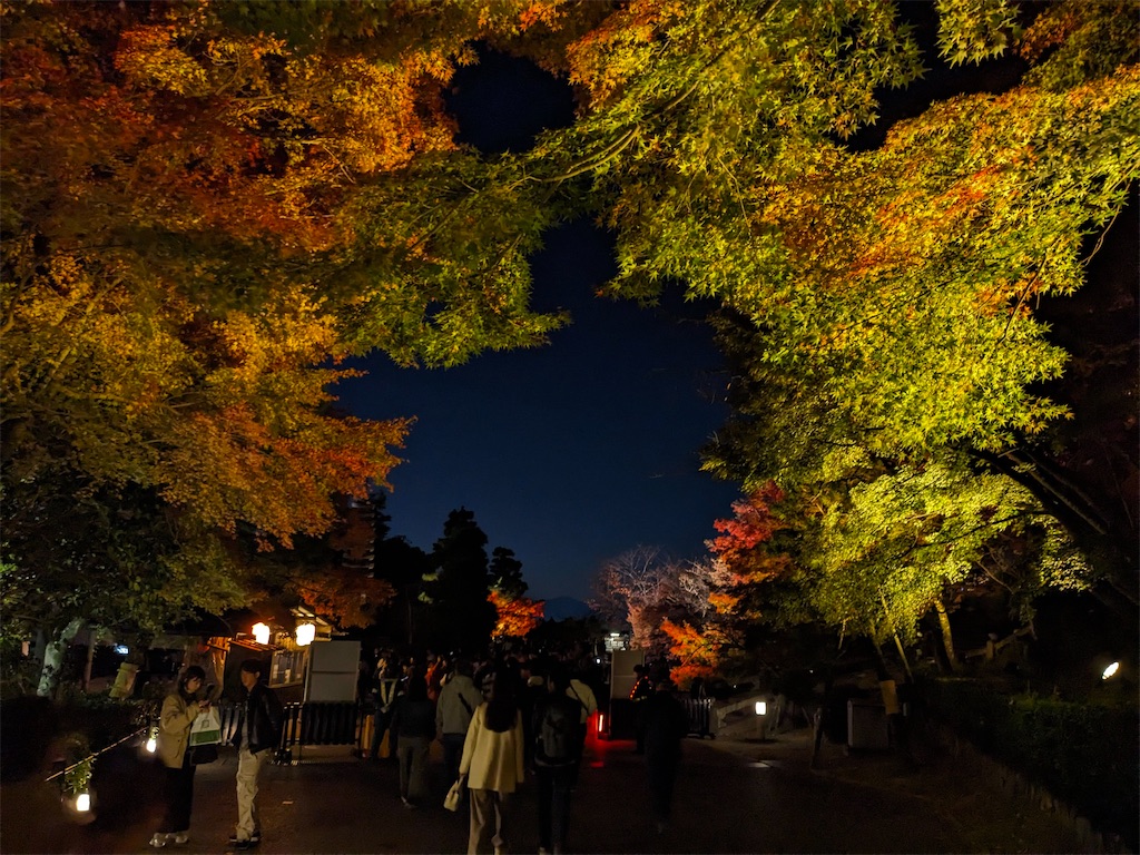 f:id:greatsusie:20251125115240j:image f:id:greatsusie:20251125115240j:image