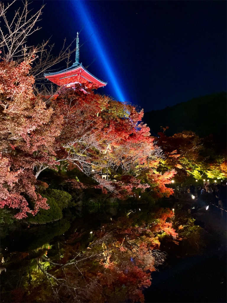 f:id:greatsusie:20251125115243j:image f:id:greatsusie:20251125115243j:image