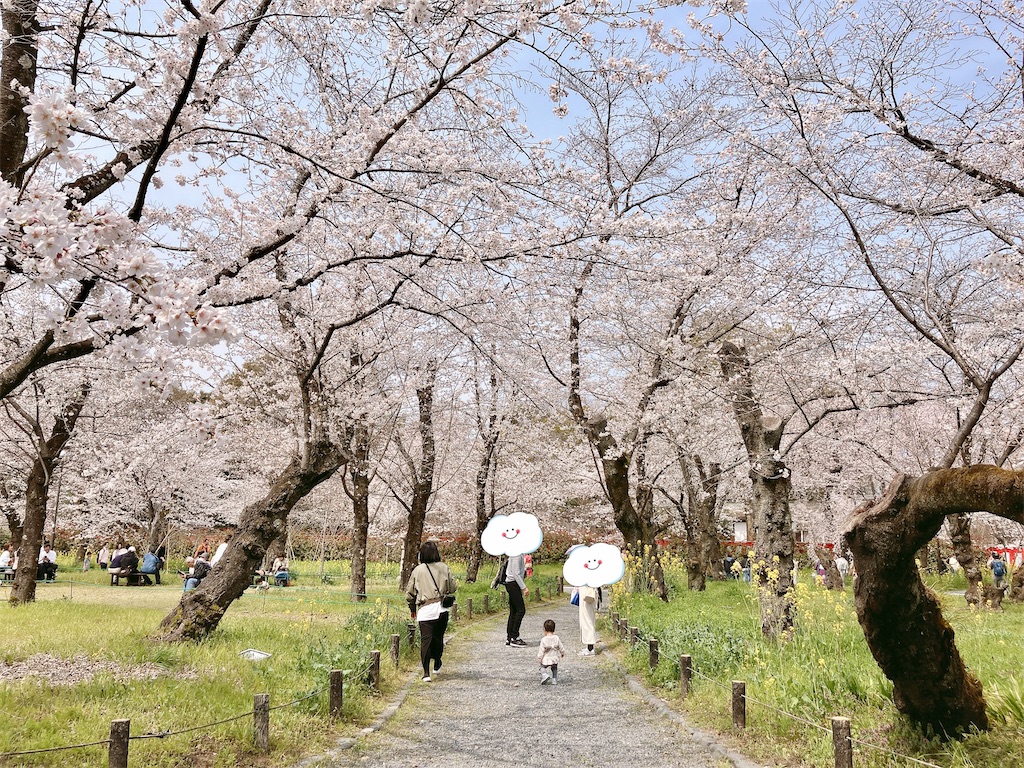 f:id:greatsusie:20260331135451j:image