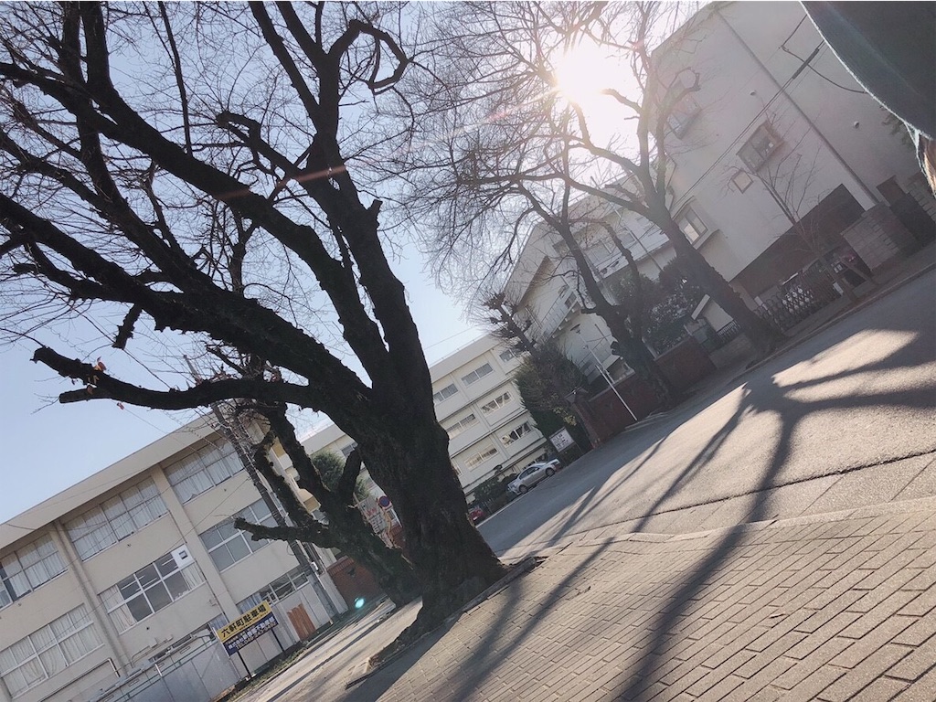 f:id:gree_giri:20181231002017j:image